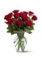 Red Charming 